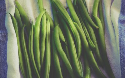 Harvest of the Month